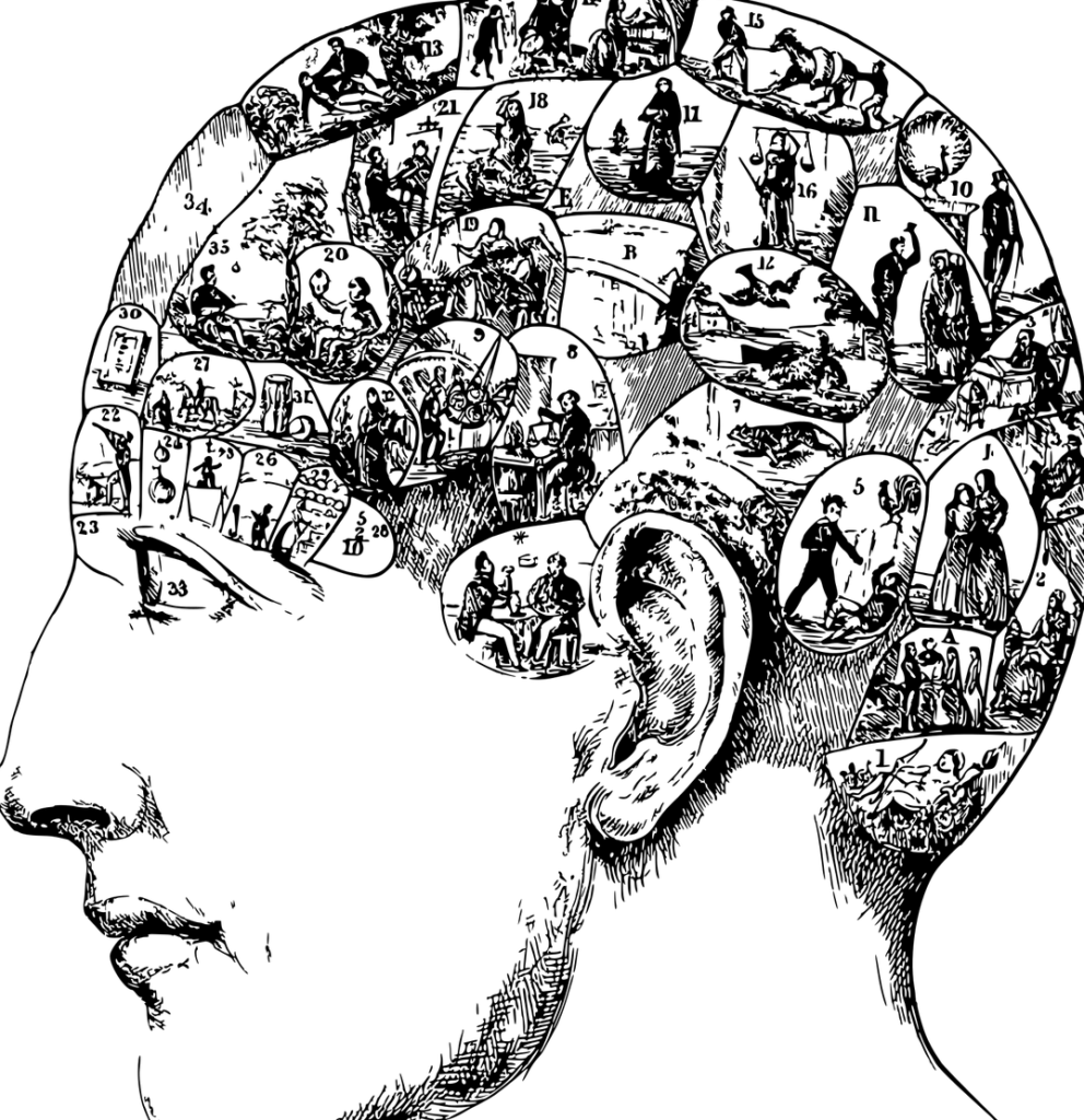 phrenology, physiognomy, head-5649932.jpg